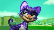 The Copycat