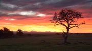 Sonnenaufgang in Umkgondo.