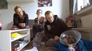 In Witten dreht sich alles um die 13-jährige Bulldoggen-Mops-Mischung  Amy; In Witten dreht sich alles um die 13-jährige Bulldoggen-Mops-Mischung  Amy