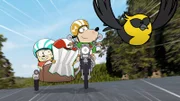 Moon, Ollie und Scout folgen einer Eule.