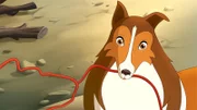 20 Lassie - In der Falle 3
