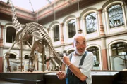 Peter (Peter Lustig) entdeckt im Naturkundemuseum das Skelett eines Dinosauriers.