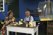 Tante Elli (Inge Wolffberg) hat Peter (Peter Lustig) gebeten, ihre Haustiere zu versorgen, weil sie verreisen möchte: Sie will sich unbedingt das Ungeheuer von Loch Ness ansehen. Peter glaubt nicht, dass es "Nessi" wirklich gibt.