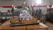 Wide shot of finished Flower Show cake.
