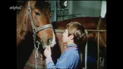 Zwiesprache mit dem Lieblingspferd ist wichtiger als Hausaufgaben: einer der "Pferdejungs" auf dem Volksgut Groß Stieten in Mecklenburg (DDR, 1980).