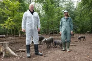 Alexander Herrmann (links) und Züchter Johannes Buchner posieren im Wald bei Oberlaimbach mit Cornwallschweinen.