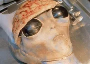 Unter der taeuschend echte Maske eines toten Ausserirdischen verbirgt sich die Leiche eines Air-Force-Piloten.