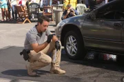 Alex O'Loughlin (Steve McGarrett).