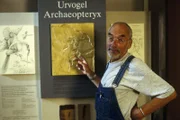 Peter (Peter Lustig) entdeckt im Naturkundemuseum den Abdruck eines kleinen Flugsauriers.