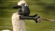 Der neue Farmbewohner hält Shaun ziemlich in Atem.