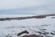 Mysteriöse Pinguinreste werden auf Lamplugh Island entdeckt, einem Ort, der für diese kurzbeinigen Kreaturen unerreichbar ist.