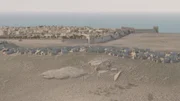 Bollwerk im Heiligen Land: 1189 belagern die Kreuzfahrer die Hafenfestung Akkon am östlichen Mittelmeer.