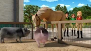 Ohje, wie konnte das passieren, dass das Pferd Sultan ausgebüxt ist? Haben Wendy, Jerry und Bianca die Arbeitsanweisungen von Flavio nicht richtig gelesen?