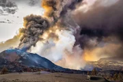 Vulkaninseln wie La Palma zählen zu den isoliertesten Orten der Welt. Auf der Kanareninsel haben sich deshalb einzigartige Lebensgemeinsaften entwickelt.