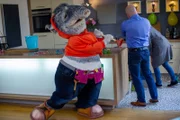 Diesmal versucht sich TanzTapir als Installateur.