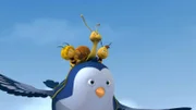 Der Schnecke Rufus wachsen Flügel.