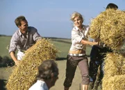 Rosamunde Pilcher - Land der Sehnsucht Wiedersehen bei der Ernte: Mathias Herrmann als Samuel, Ivonne Schönherr als Vivian