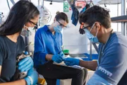 Auf Forschungsexpedition in eine entrückte Welt: Hannah Emde (M.) begleitet Wildtierärzte zu den Galapagos-Pinguinen, der nördlichsten Pinguinart der Welt.