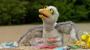 Eine Möwe hat sich in einer Plastikflasche verfangen.