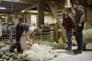 Die Schafzüchterin Helene Wörter und ihr Sohn Matthias (r.) arbeiten dem Schafscherer Robbie Jones zu, während ServusTV‘s „Heimatleuchten – Rund um die Kitzbüheler Alpen“ in St. Ulrich am Pillersee, Tirol, Österreich am 21. März, 2024.