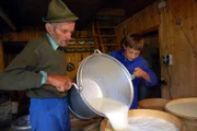Die jungen Helfer auf den Alpen werden in Vorarlberg "Pfister" genannt. In den Sommerferien lernen sie, was ein Bergbauernleben bedeutet. Anton Moosbrugger zeigt seinem 12-jährigen Enkel Johannes, wie er die frische Milch richtig in die "Gebsen" füllt.