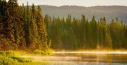 See und Fichtenwald, in den Adirondack Mountains.
