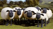 Shaun das Schaf (3.Staffel) - allgemein 4.