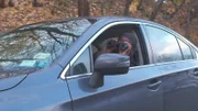 A detective spies on his suspect