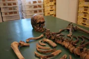 Ein intaktes Skelett, gefunden in Herculaneum. Möglicherweise ein Soldat, der beim Ausbruch des Vesuvs umgekommen ist.