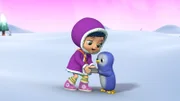 Wissper - Der perfekte Pinguin-Stein - Ein Hilferuf führt Wissper und Peggy in die Eiswelt. Pinguin Pablo hat sich am Flügel verletzt. Dabei müsste er doch dringend einen Stein für seine Freundin Paula suchen. Die anderen Pinguine und Walross Wilma helfen Peggy und Wissper bei der Suche nach einem Stein. Doch der richtige ist nicht dabei. Pablo möchte selbst nach dem perfekten Pinguin-Stein suchen, aber vorher muss sich jemand um seinen verletzten Flügel kümmern.