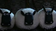 Der Schrecken ist groß, die Nacht ist zum Gruseln!