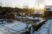 Die Kälte ist oft erbarmungslos: Der Frost setzt der Natur und dem Garten zu und so zieht sich alles zurück oder verendet.
