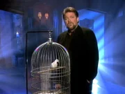 Jonathan Frakes präsentiert unglaubliche Geschichten - einige Erzählungen sind wahr und einige sind frei erfunden...