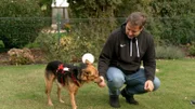 Hund Snoopy mit Martin Rütter