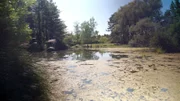 Wasserpark Floridsdorf.