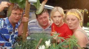 (v.l.) Lothar (Rene Heinersdorff), Benno (Willi Thomczyk), Stefanie (Dana Golombek) und Uschi (Antje Lewald) können es nicht fassen: Unter den Gewächsen, die Stefanie in Pflege genommen hat, befinden sich auch Marihuanapflanzen!
