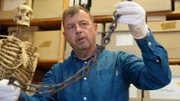 In den Brandgruben auf der Richtstätte Allensbach finden die Archäologen neben Knochen auch eine mysteriöse Eisenkette.