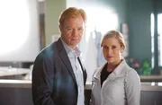 Ein neuer Fall für Horatio (David Caruso), Calleigh (Emily Procter) und ihre Kollegen: In der Notaufnahme eines Krankenhauses endet ein Konflikt zwischen zwei Straßengangs tödlich...