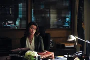Erin (Bridget Moynahan) wird mit einem Fall betraut, bei dem ein Polizist den Tod eines sich in Untersuchungshaft befindlichen Mannes zu verantworten hat. Während sie der Sache nachgeht, wird sie jedoch von ihrem Vater um Vorsicht gebeten, um den Ruf des NYPD nicht zu gefährden ...
