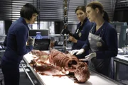 BONES: L-R: Cam (Tamara Taylor), Angela (Michaela Conlin) and Brennan (Emily Deschanel) examine the remains found on top of the canopy in Angela and Hodgins bedroom in the "The Corpse in the Canopy" episode of BONES airing Monday, Jan. 21 (8:00-9:00 PM ET/PT) on FOX.