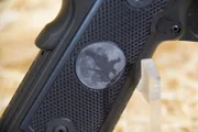Detail of the black hawk emblazoned on the handgrip of the Nighthawk pistol.