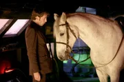 Doctor Who (David Tennant)