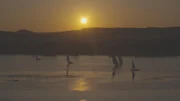 Sonnenuntergang am Nil