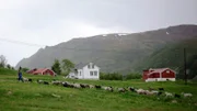 Während des Frühlings treiben viele Schafszüchter ihre Tiere in die Berge. Dort bleiben diese den Sommer über.