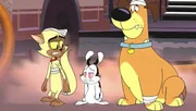 v.li.: Chester, Bunnicula, Harold