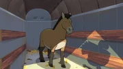 Ein sogenanntes Przewalski-Pferd namens Darius kommt im Reservat an.