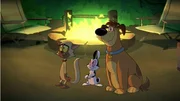 v.li.: Chester, Bunnicula, Harold