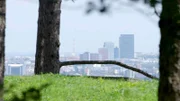 Wienerwald nähe zu Wien.