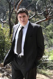 Alfred Molina als Det. Ricado Morales