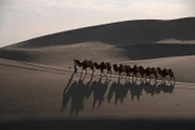 Die antike chinesische Zivilisation hatte ein Monopol auf begehrte Güter, darunter auch Seide. Diese wurde in die ganze Welt verkauft. Dafür legten die Herrscher Handelswege an, die sogenannte Seidenstraße.